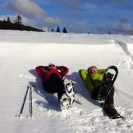 Rennsteigblick Apartman *