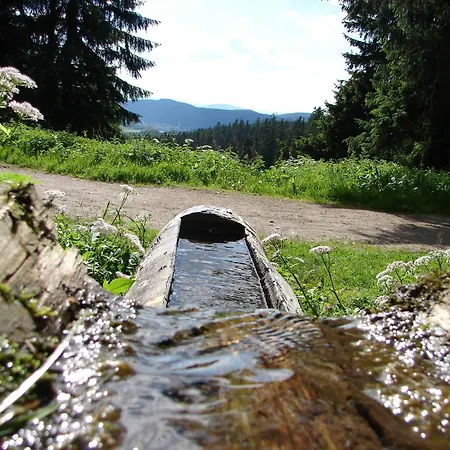Rennsteigblick Apartamento