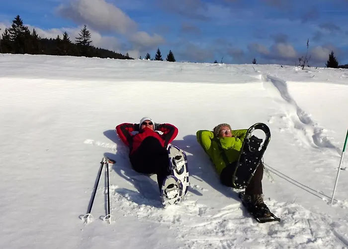 Rennsteigblick Lejlighed *