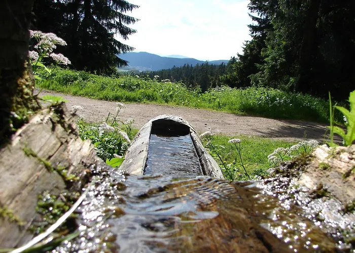 Rennsteigblick Lejlighed